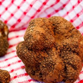 Truffe