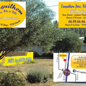 Canguilhem