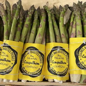 ASPERGES CANGUILHEM 