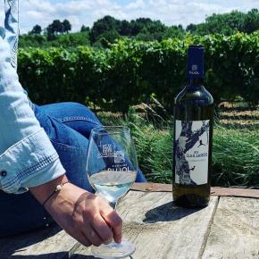 DOMAINE PUJOL B