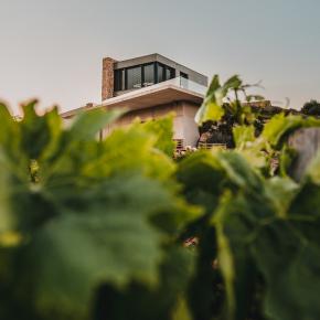 DOMAINE DE LA ROCHELIERRE
