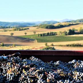DOMAINE GIRARD