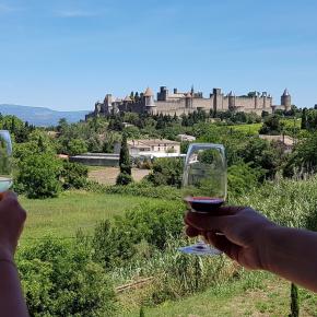 DOMAINE CHARLEMAGNE