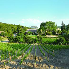 CHATEAU HAUT GLEON