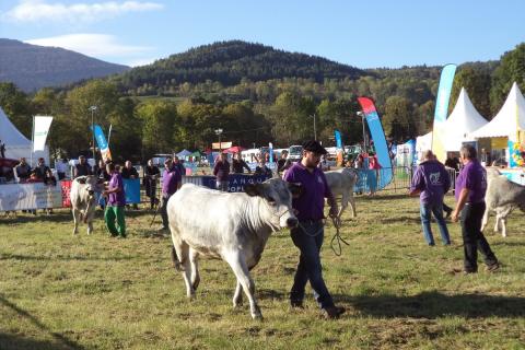 FOIRE ESPEZEL