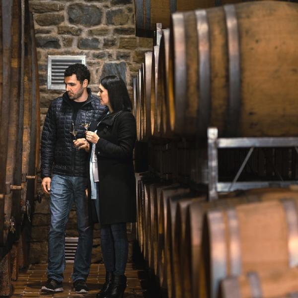 Un couple visite un caveau de la marque Pays cathare