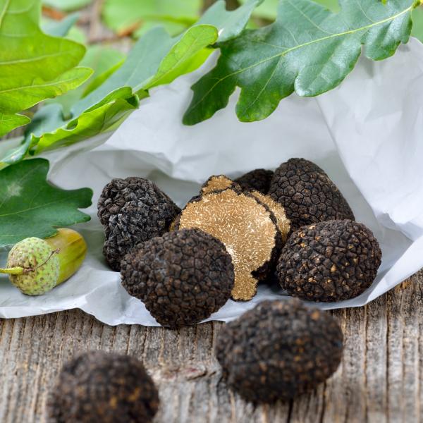 TRUFFE BLANCHE 