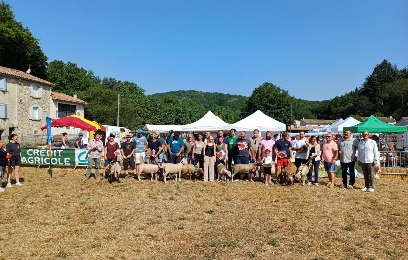 Vente des agneaux Pays Cathare