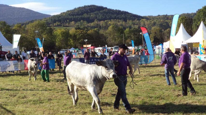 FOIRE ESPEZEL