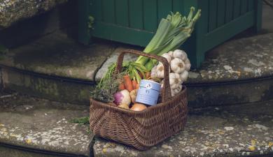 panier de légumes Pays Cathare