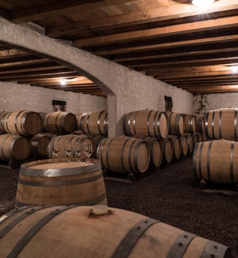 CHATEAU D'ANTUGNAC
