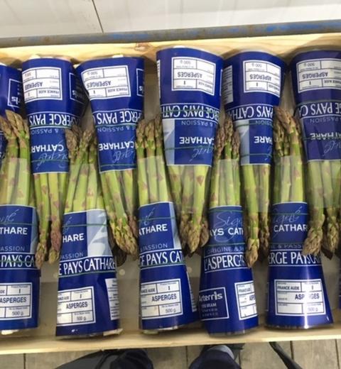 Asperges Arterris