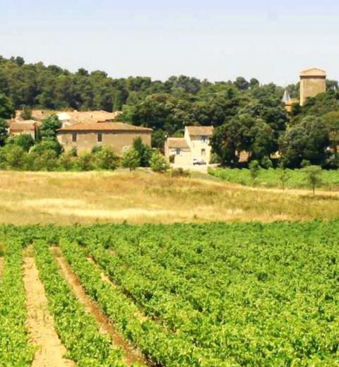 CHATEAU FONTIERS EXT