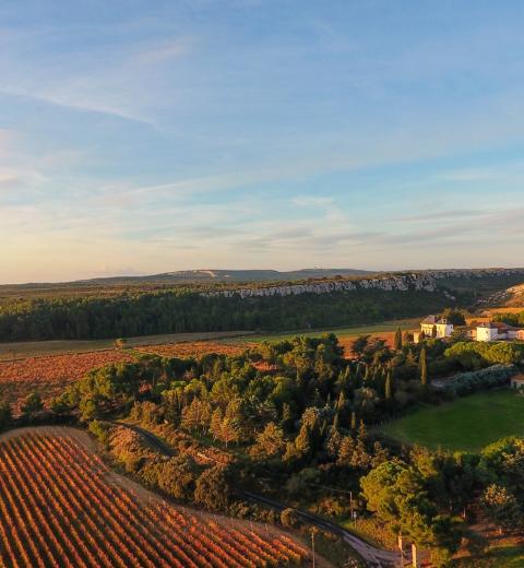 CHÂTEAU LA NEGLY