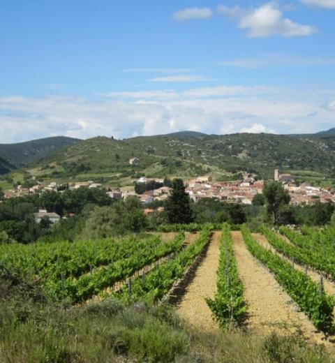DOMAINE DE ROUDENE