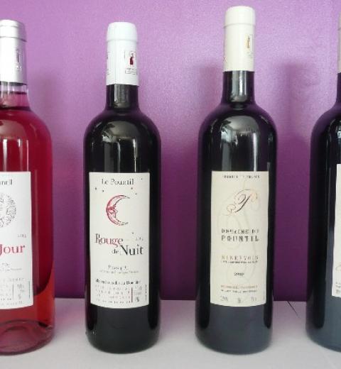 DOMAINE DU POUNTIL