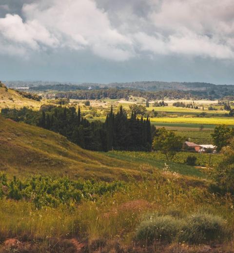 DOMAINE PUJOL A