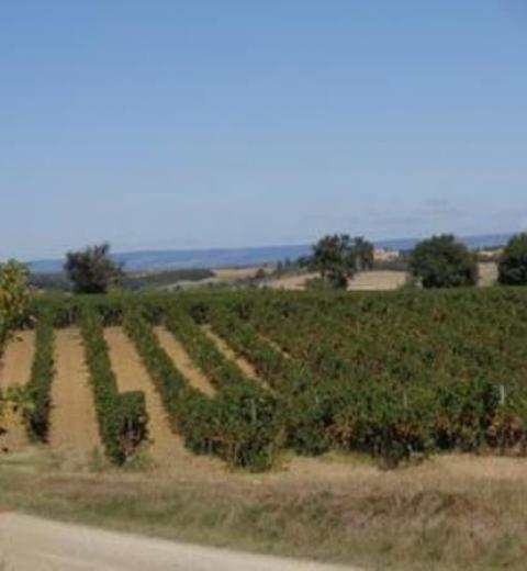 DOMAINE SATGE