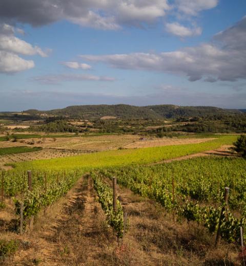 Domaine les cascades-Ribaute_0