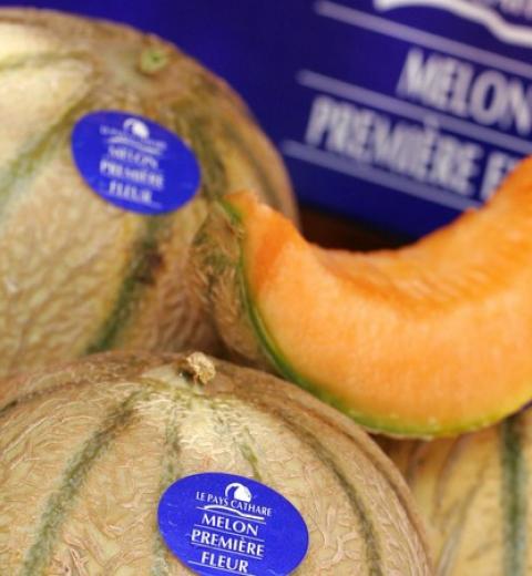 MELON DU PC