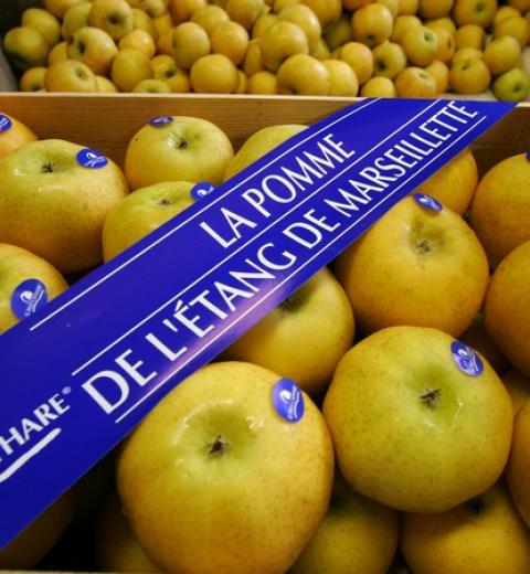 POMME DU PC