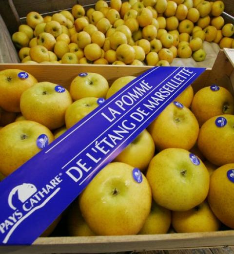 POMME DU PC