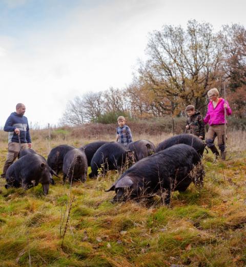 Ferme de la Bracadelle
