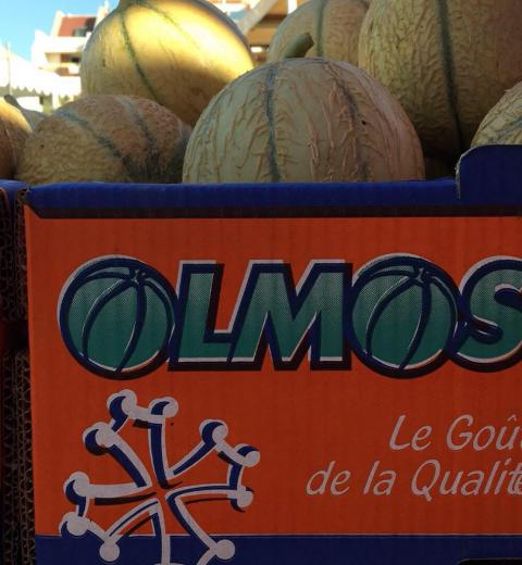 OLMOS