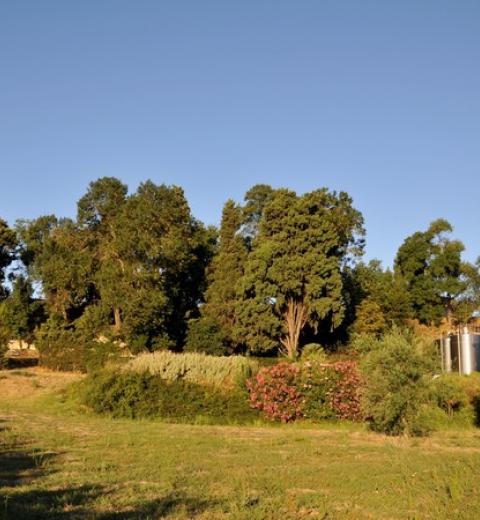 CHATEAU SALITIS