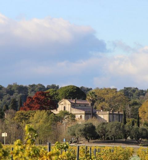 CHÂTEAU DE SÉRAME